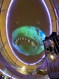 ӂ킠